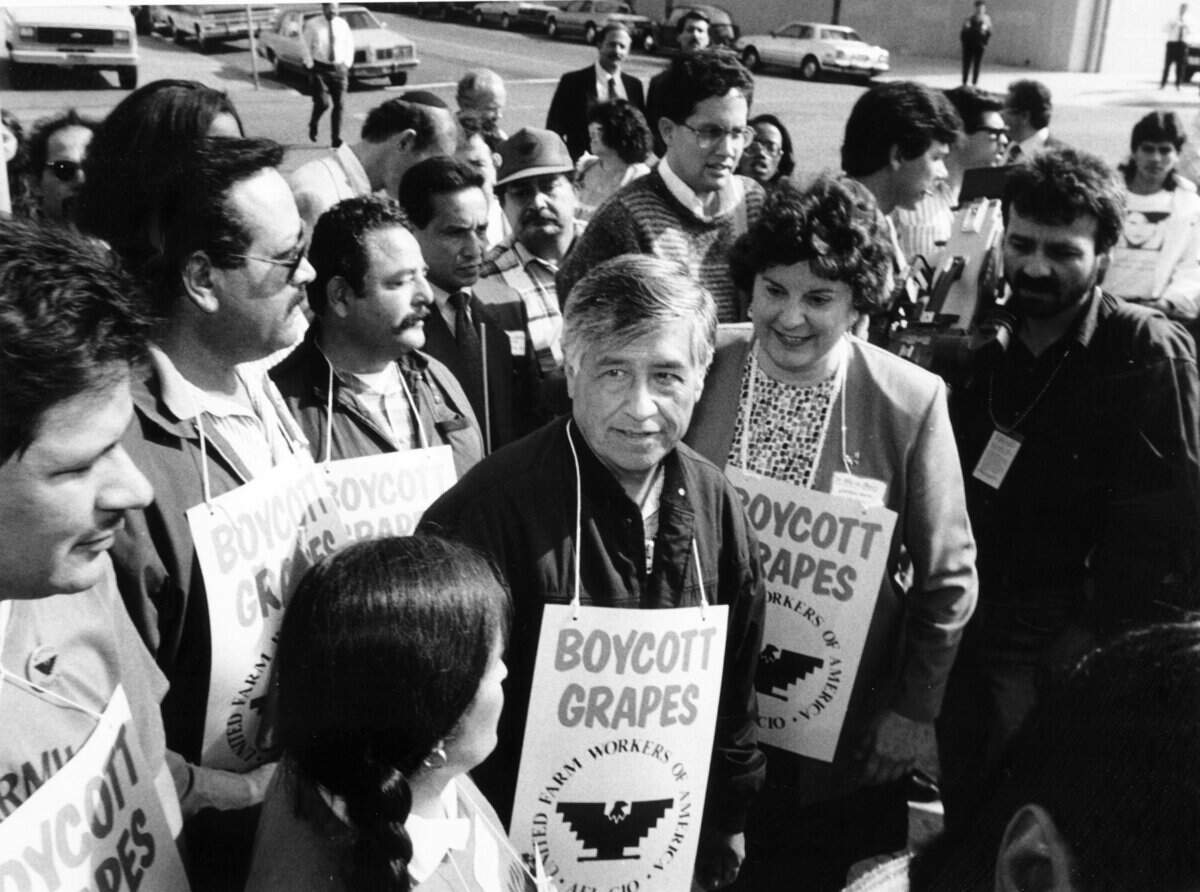Cesar Chavez, is shown in this Fresno Bee file photo from June 10, 1989, followed by Dr. Marion Moses starts up the steps to Safeway Stores Corporate Headquarters in Oakland, CA. Chavez attempted to present petitions signed by 50,000 Safeway customers protesting pesticides used on grapes. (Richard Darby/The Fresno Bee)